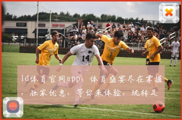 ld体育官网app，体育盛宴尽在掌握，独家优惠，等你来体验，玩转足球篮球