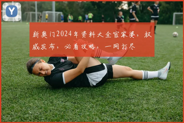 新奥门2024年资料大全官家婆，权威发布，必看攻略，一网打尽