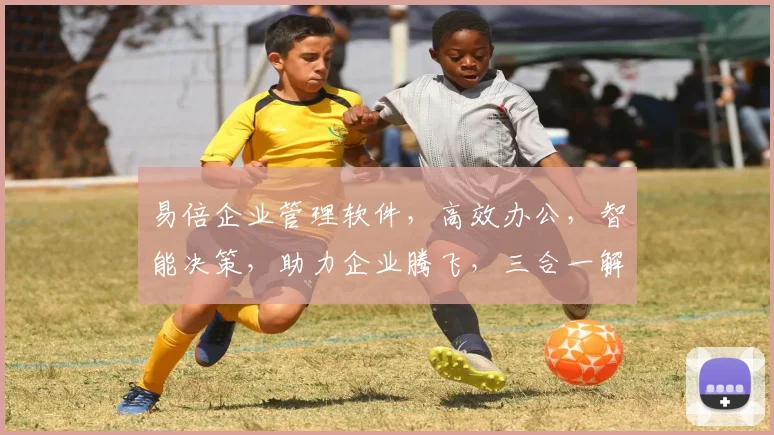 易倍企业管理软件，高效办公，智能决策，助力企业腾飞，三合一解决方案，创新企业必备